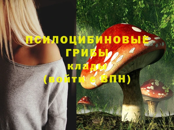 МДМА Няндома