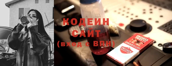 сатива Сатка