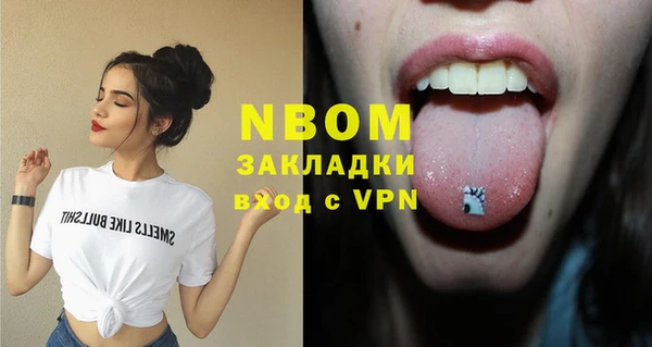 сатива Сатка