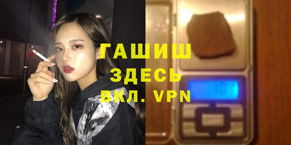 сатива Сатка