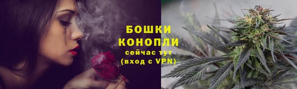 бошки Саяногорск