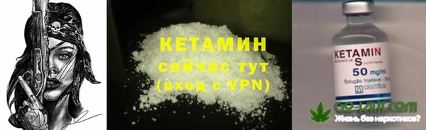 сатива Сатка