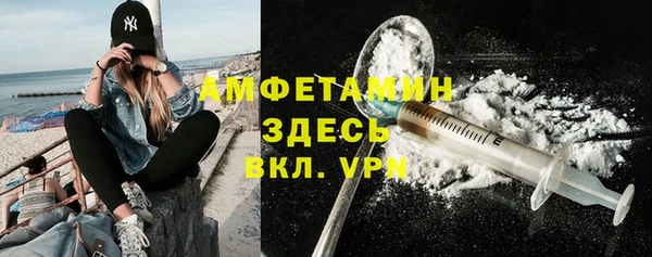 сатива Сатка