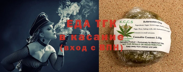 сатива Сатка