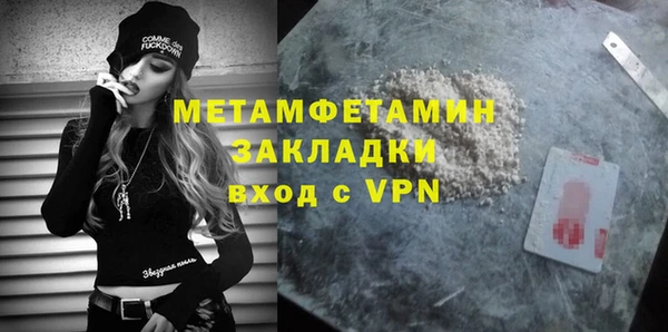 сатива Сатка