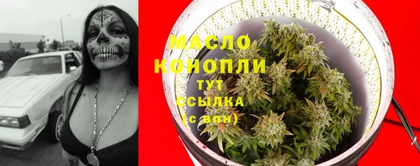 сатива Сатка