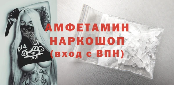 сатива Сатка
