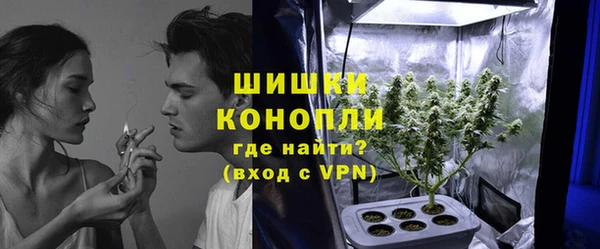 сатива Сатка