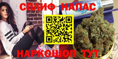 стафф Заволжье