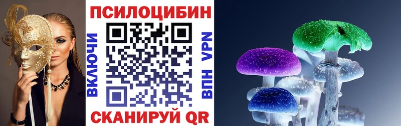 Псилоцибиновые грибы Cubensis  гидра как зайти  Сухой Лог 