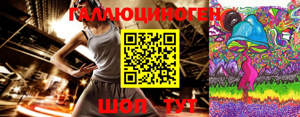 Сухой Лог  Галлюциногенные грибы Psilocybine cubensis  Вход с VPN 