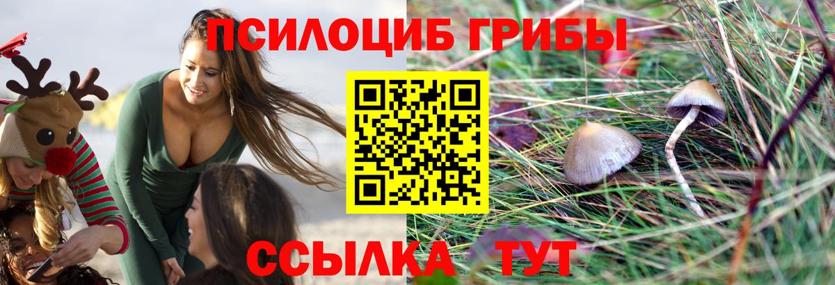 Галлюциногенные грибы мухоморы Сухой Лог